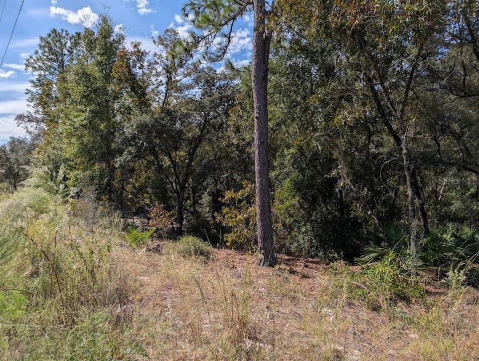 For Sale: $69,500 (1.02 acres)