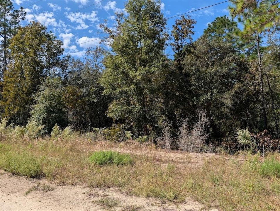 For Sale: $69,500 (1.02 acres)