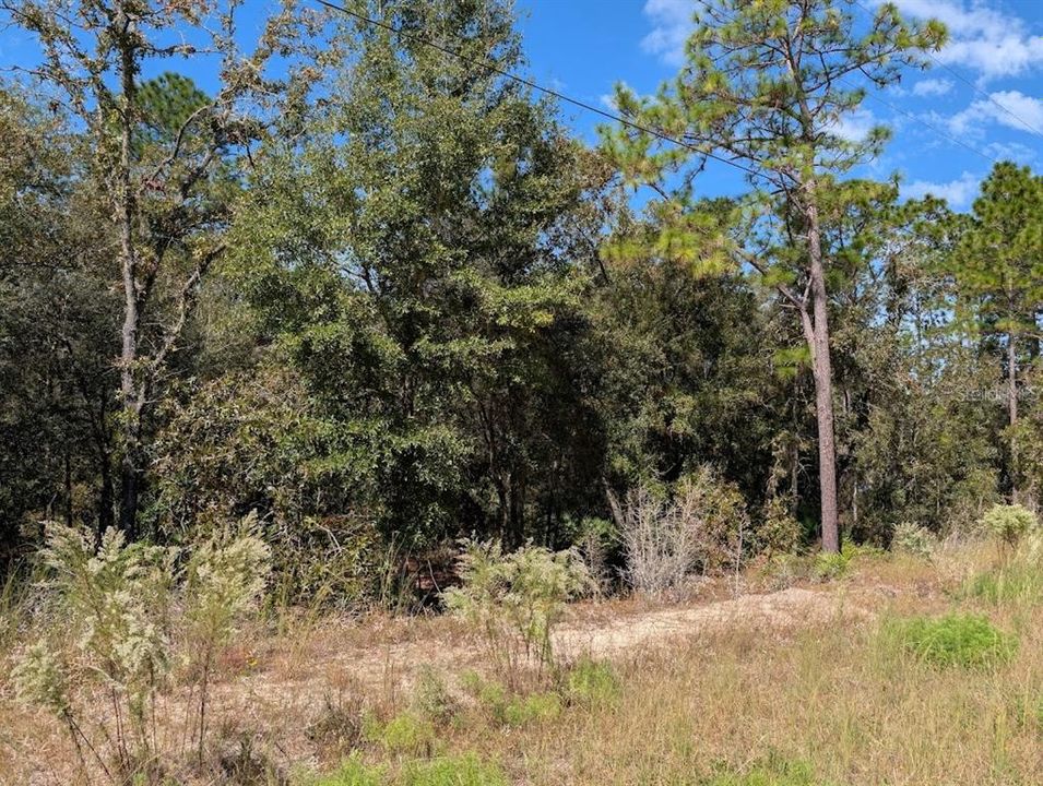 For Sale: $69,500 (1.02 acres)