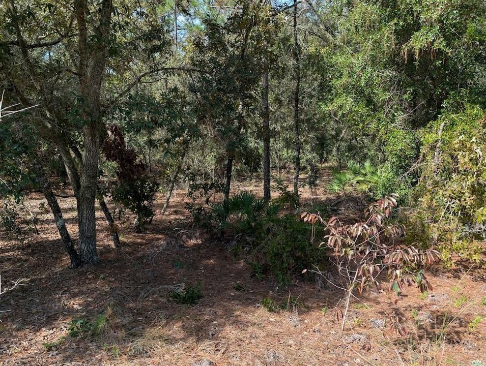 For Sale: $69,500 (1.02 acres)