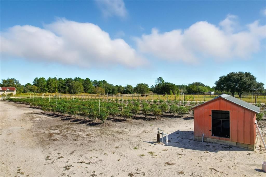 Active With Contract: $399,900 (3 beds, 2 baths, 1486 Square Feet)