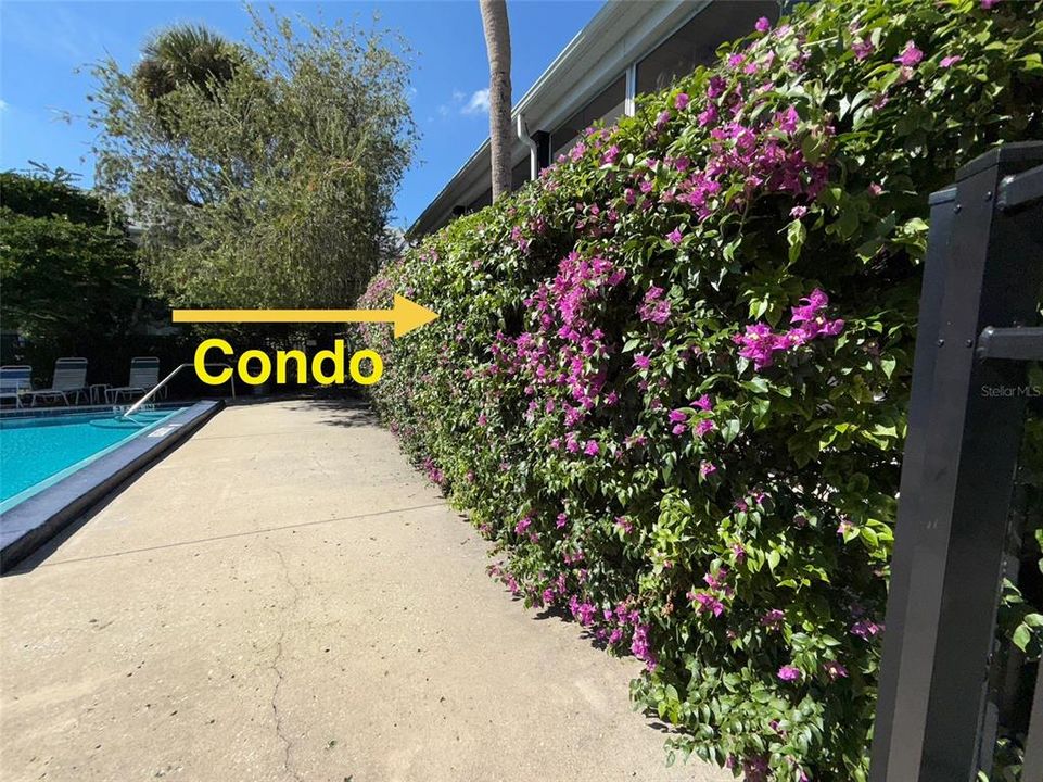 En Venta: $179,900 (1 camas, 1 baños, 653 Pies cuadrados)