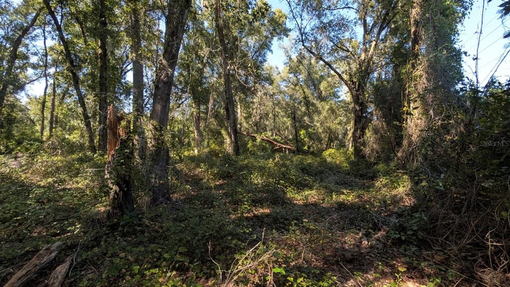 待售: $2,500,000 (2.10 acres)