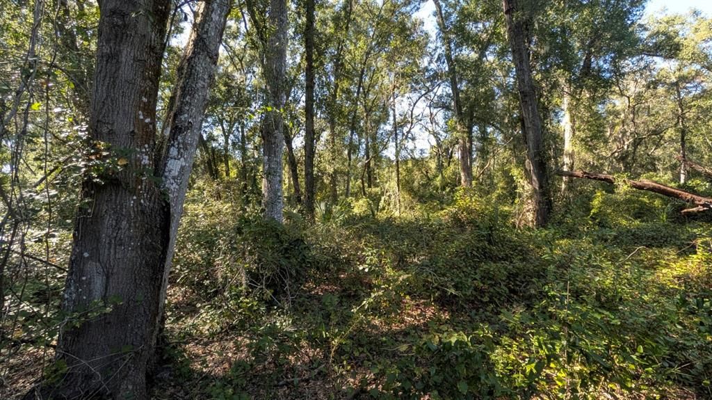 待售: $2,500,000 (2.10 acres)