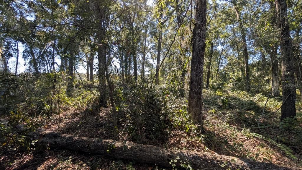 待售: $2,500,000 (2.10 acres)