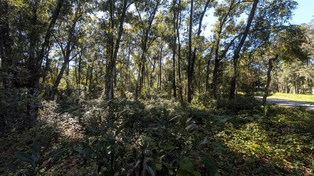 待售: $2,500,000 (2.10 acres)