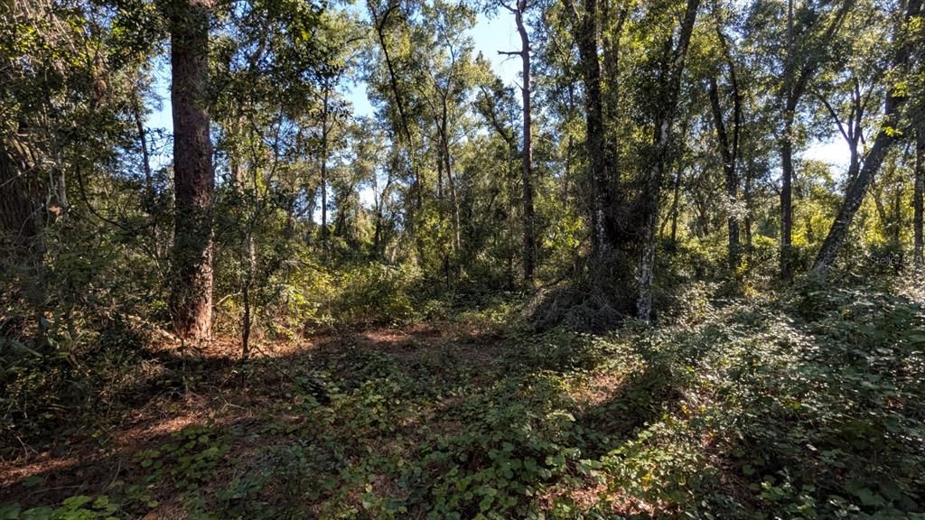 待售: $2,500,000 (2.10 acres)