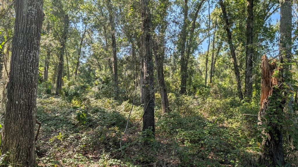 待售: $2,500,000 (2.10 acres)