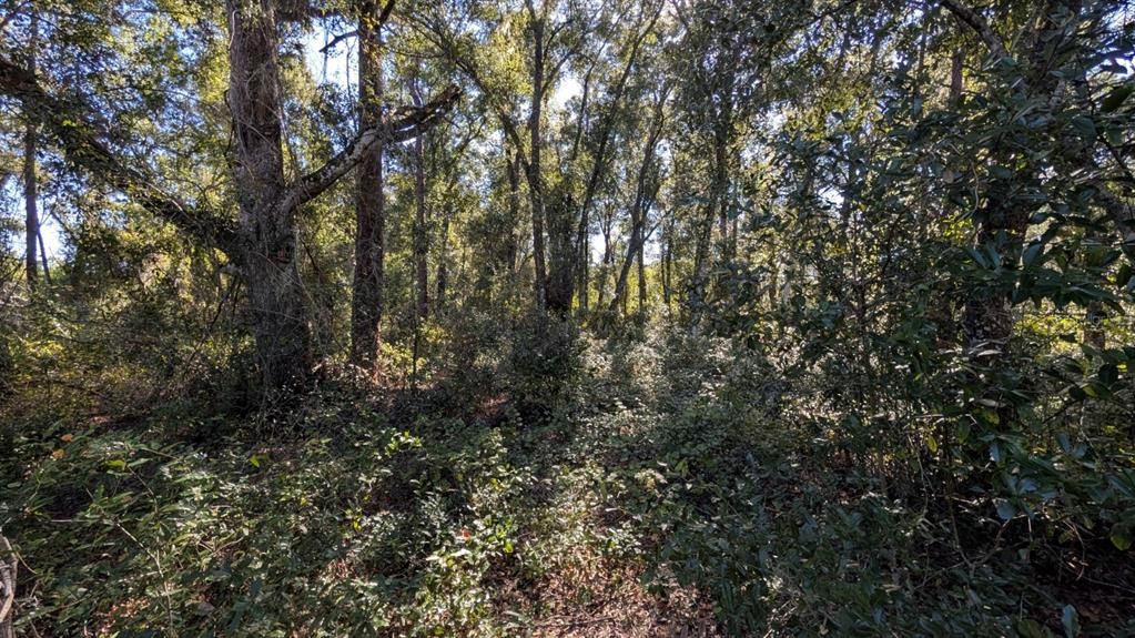 待售: $2,500,000 (2.10 acres)