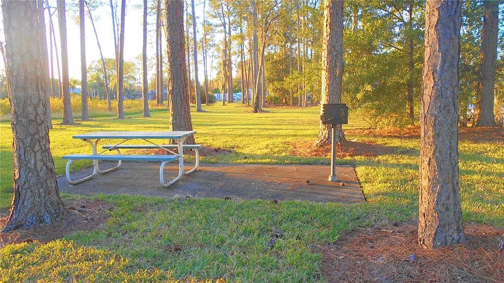 待售: $195,000 (2 贝兹, 2 浴室, 1080 平方英尺)