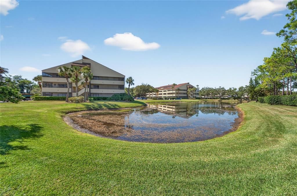 待售: $160,000 (1 贝兹, 1 浴室, 576 平方英尺)