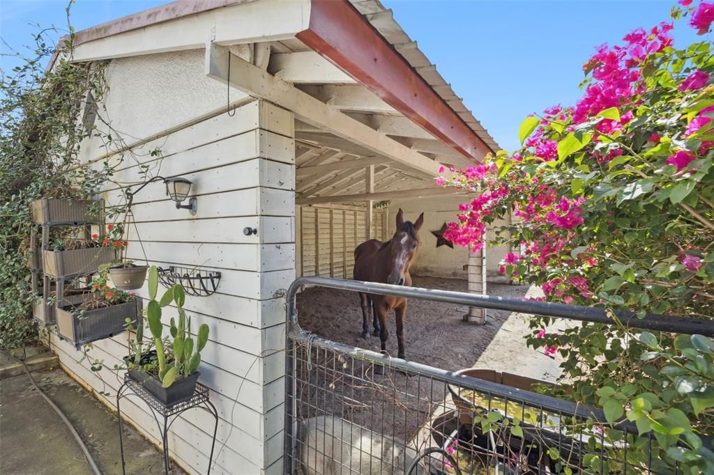 For Sale: $2,500,000 (4 beds, 4 baths, 5092 Square Feet)