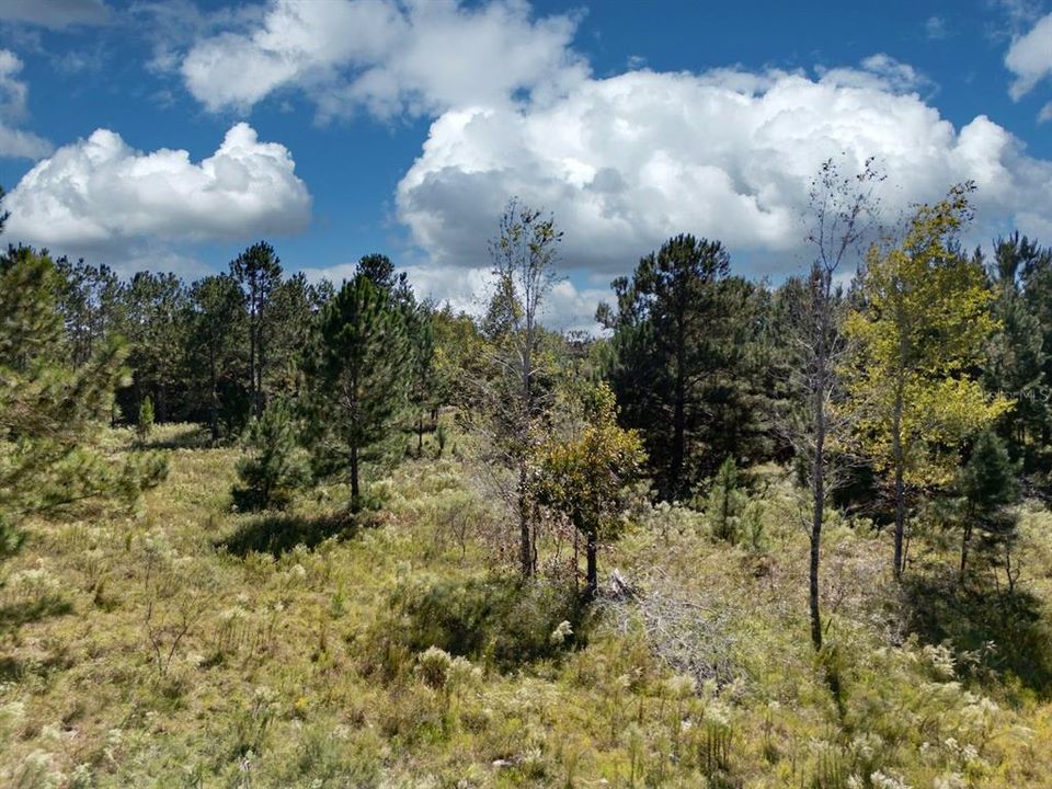 En Venta: $375,000 (20.01 acres)