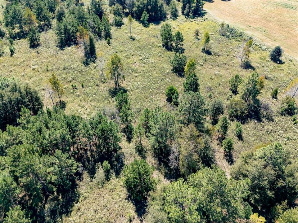 En Venta: $375,000 (20.01 acres)