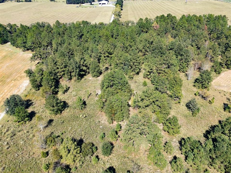 En Venta: $375,000 (20.01 acres)