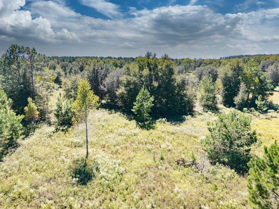 En Venta: $375,000 (20.01 acres)