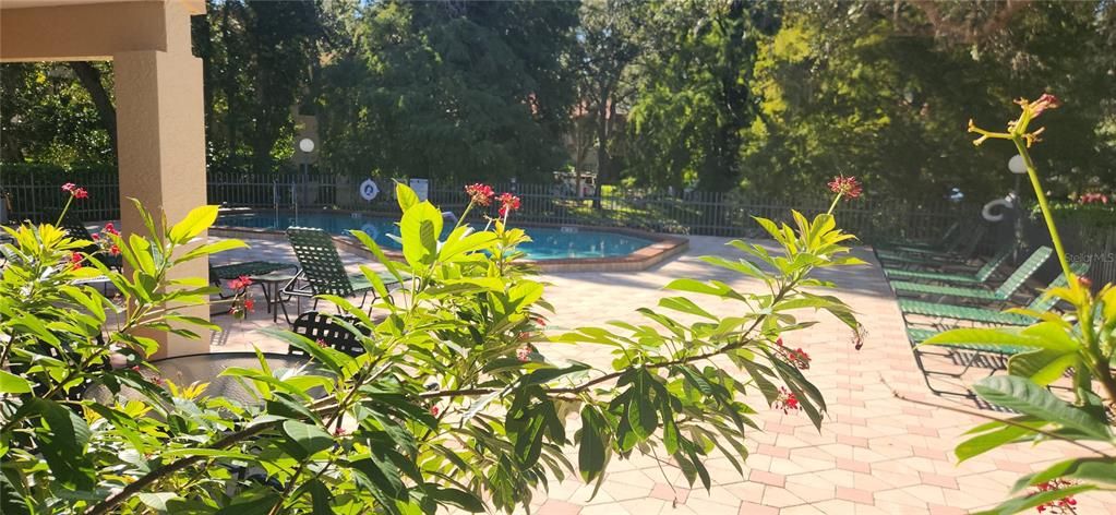 For Sale: $375,000 (3 beds, 2 baths, 1250 Square Feet)