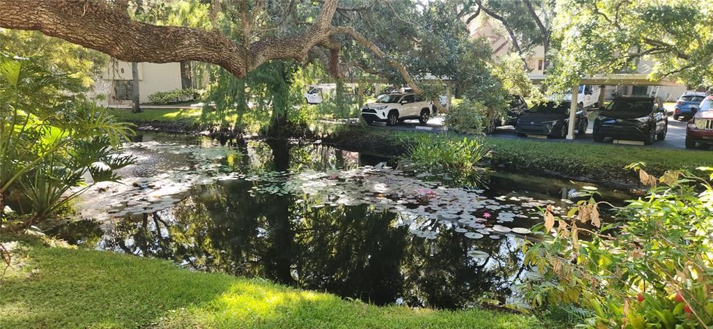 For Sale: $375,000 (3 beds, 2 baths, 1250 Square Feet)