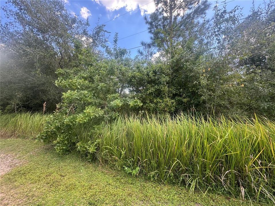 Active With Contract: $78,250 (1.04 acres)