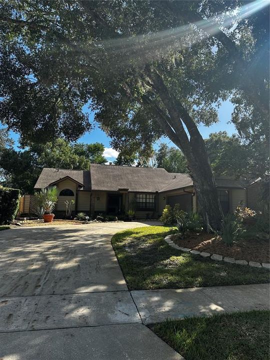 For Rent: $2,800 (3 beds, 2 baths, 1812 Square Feet)