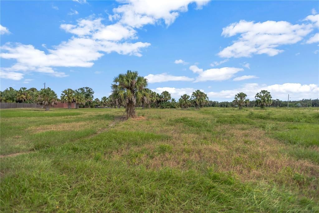 For Sale: $310,000 (5.01 acres)