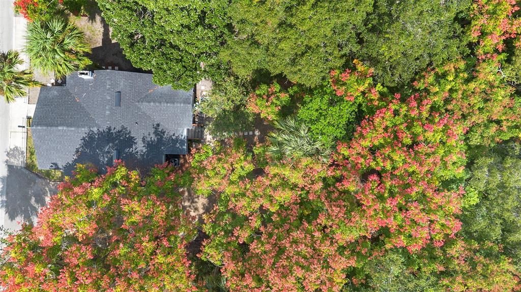 For Sale: $269,900 (2 beds, 1 baths, 947 Square Feet)