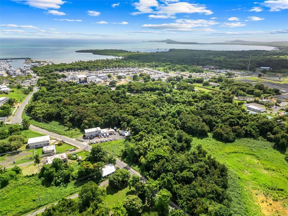 For Sale: $150,000 (0.79 acres)