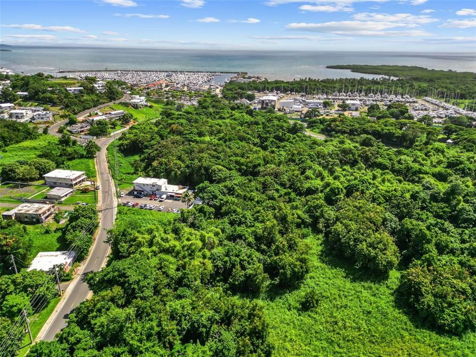 For Sale: $150,000 (0.79 acres)