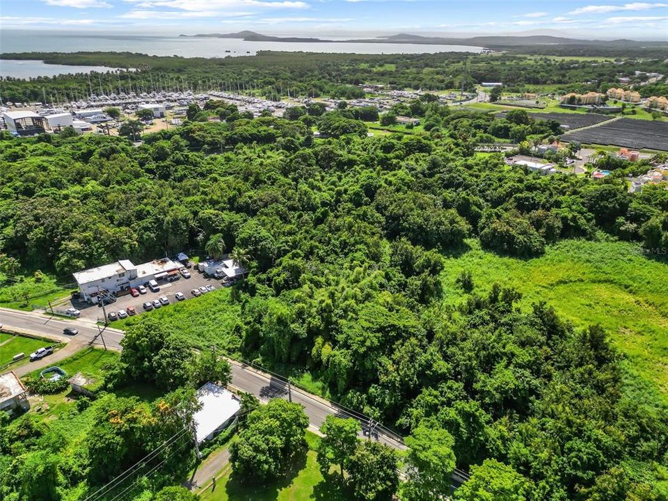 For Sale: $150,000 (0.79 acres)