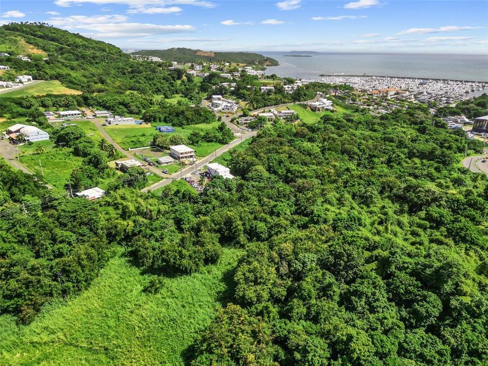 For Sale: $150,000 (0.79 acres)