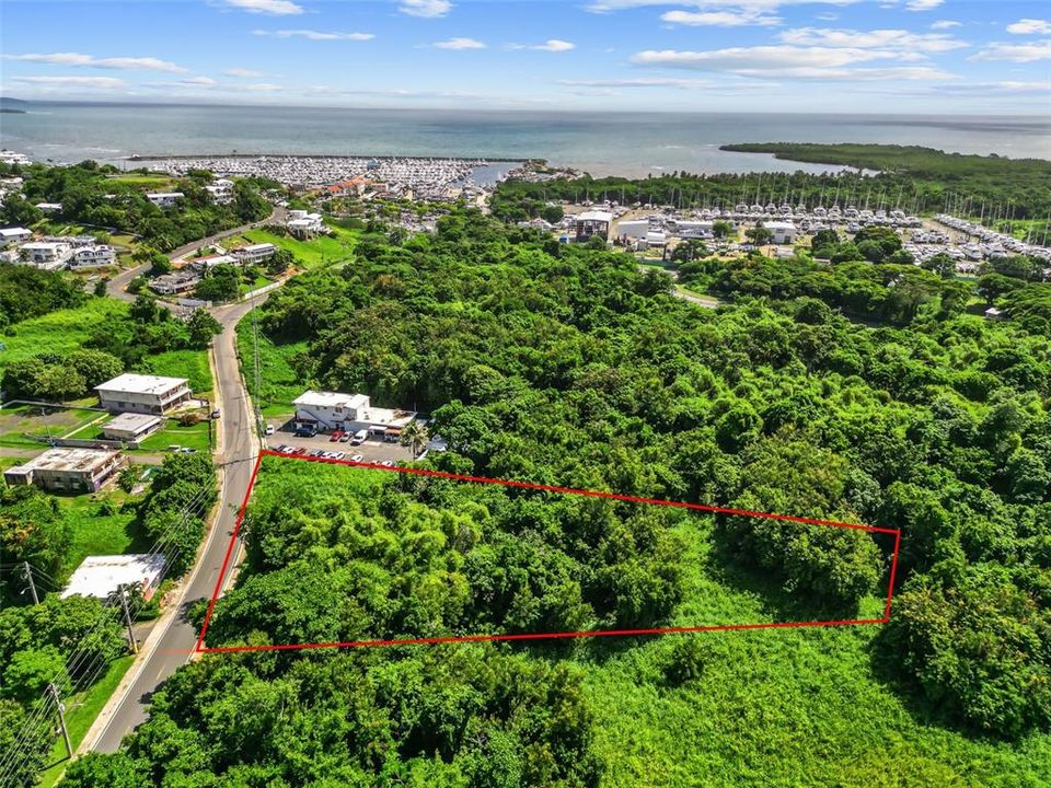 For Sale: $150,000 (0.79 acres)