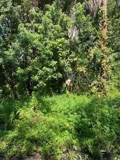 合同活跃: $30,000 (0.24 acres)