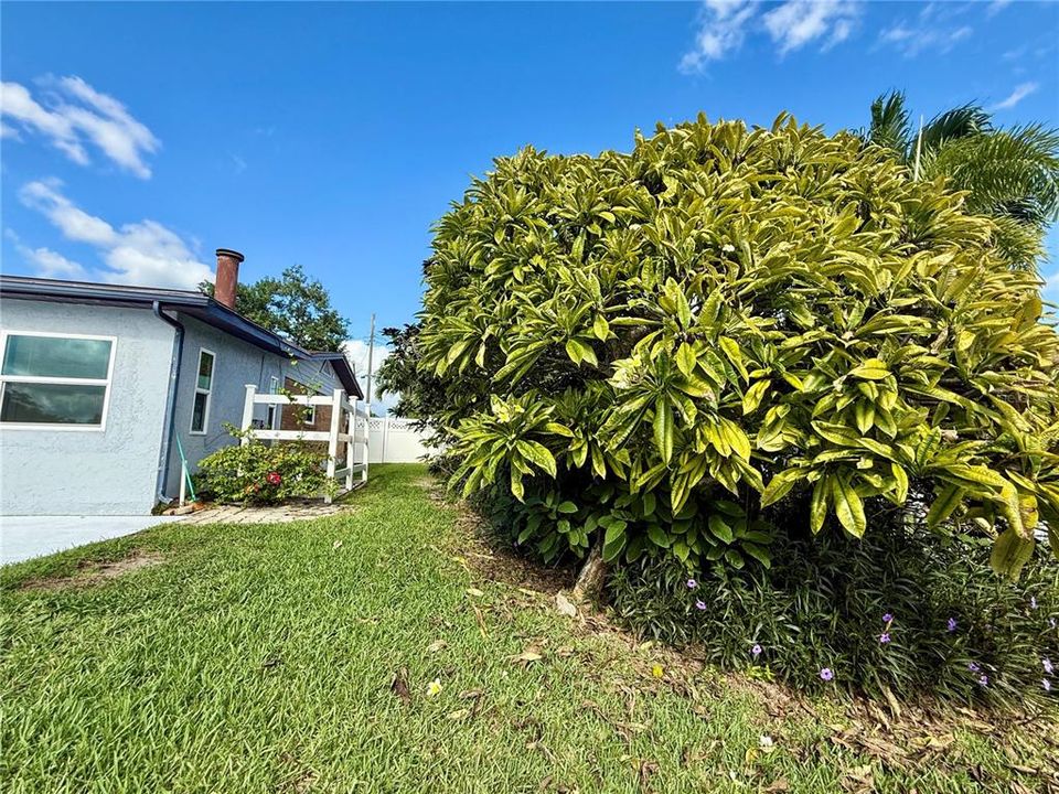 En Venta: $749,900 (4 camas, 2 baños, 2198 Pies cuadrados)