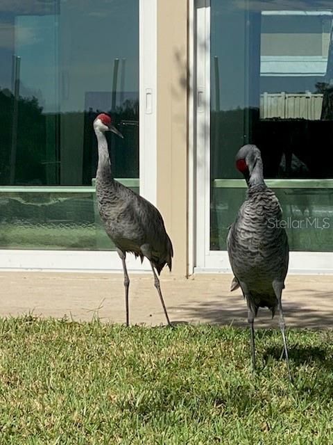 For Sale: $249,000 (2 beds, 2 baths, 1584 Square Feet)