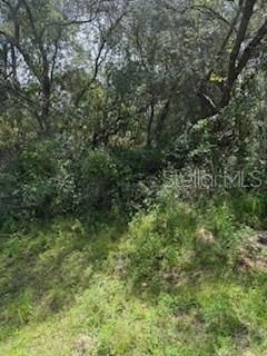 For Sale: $59,900 (0.23 acres)