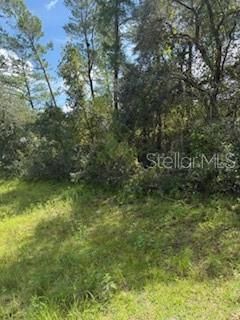 For Sale: $59,900 (0.23 acres)