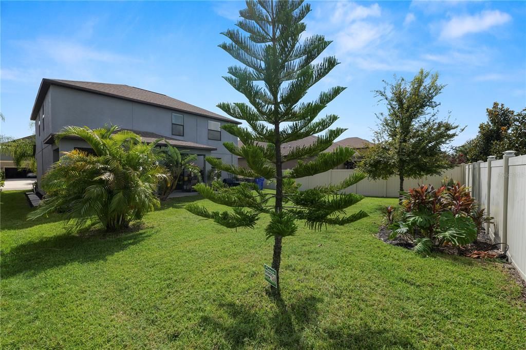 Под контрактом: $3,150 (4 спален, 3 ванн, 2555 Квадратных фут)