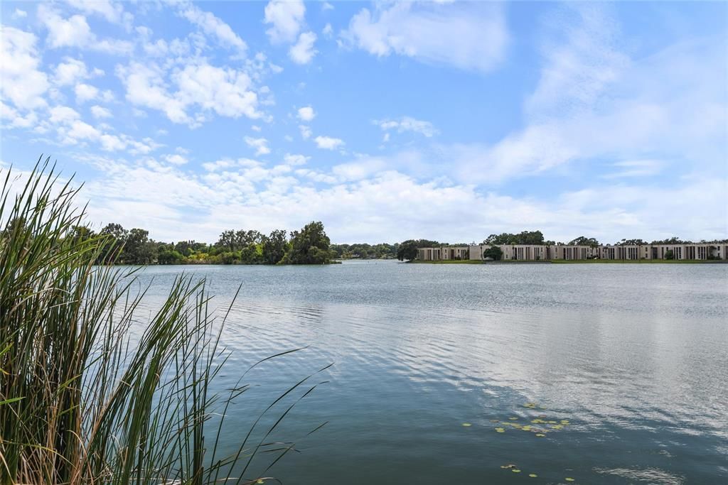 待售: $119,000 (1 贝兹, 1 浴室, 581 平方英尺)