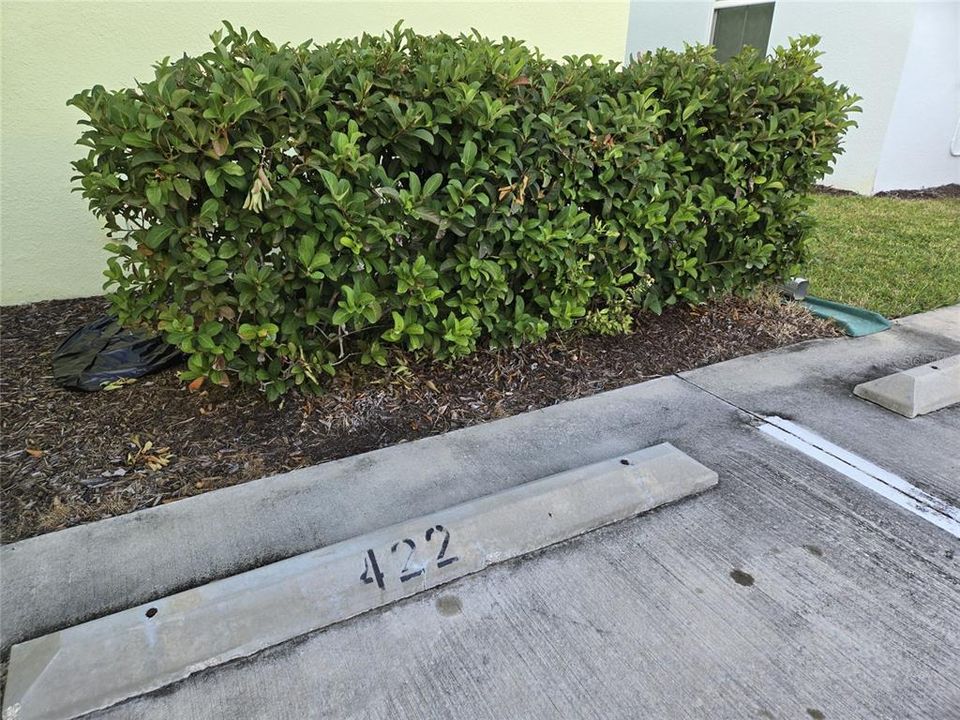 待售: $389,900 (2 贝兹, 2 浴室, 1466 平方英尺)