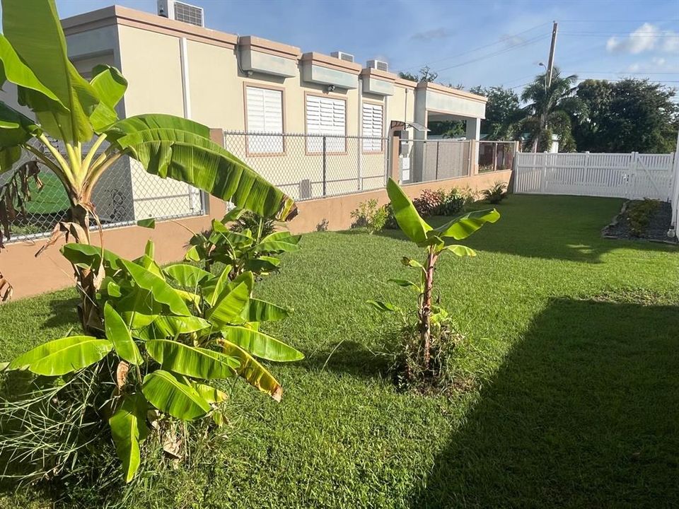 For Sale: $375,000 (3 beds, 3 baths, 1465 Square Feet)