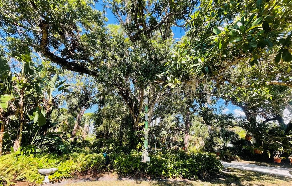 For Sale: $1,200,000 (0.58 acres)