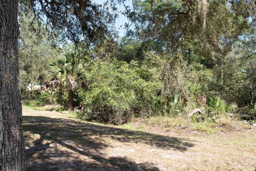 En Venta: $285,000 (5 camas, 2 baños, 1536 Pies cuadrados)