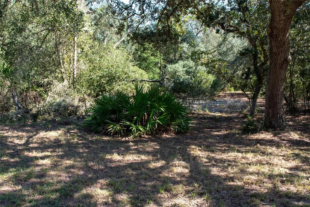 En Venta: $285,000 (5 camas, 2 baños, 1536 Pies cuadrados)