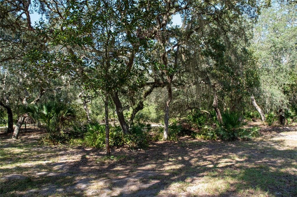 En Venta: $285,000 (5 camas, 2 baños, 1536 Pies cuadrados)