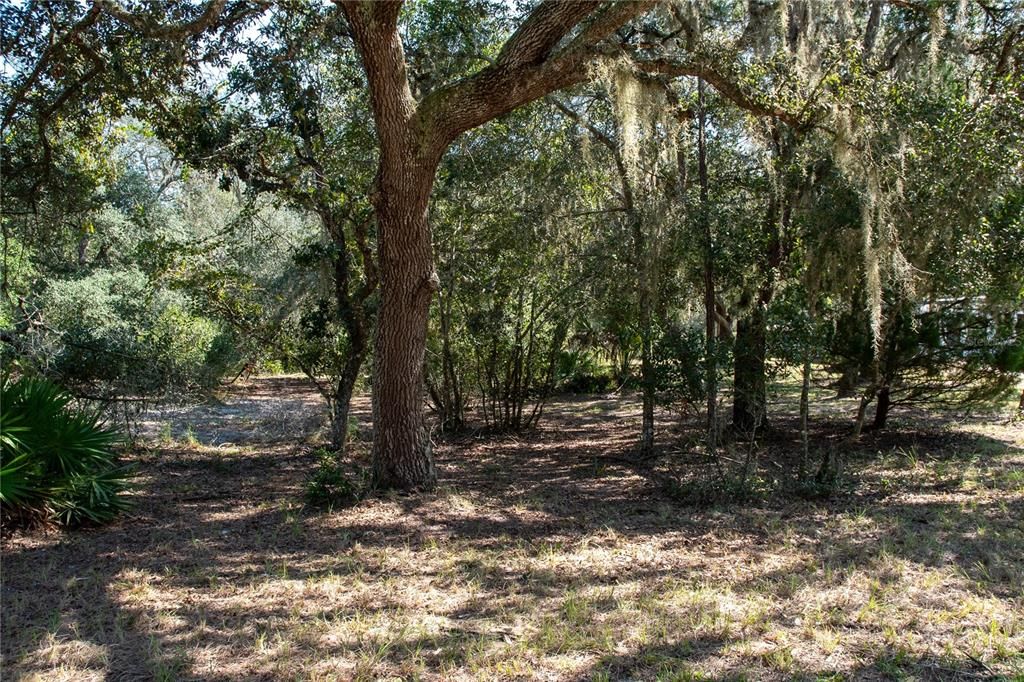 En Venta: $285,000 (5 camas, 2 baños, 1536 Pies cuadrados)