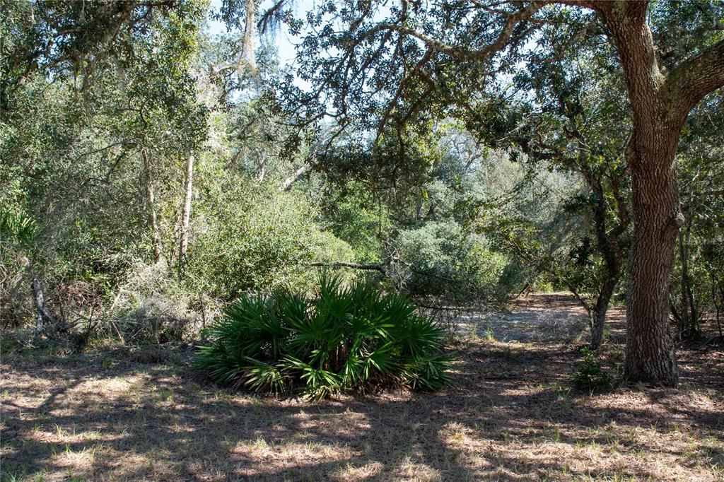 En Venta: $285,000 (5 camas, 2 baños, 1536 Pies cuadrados)