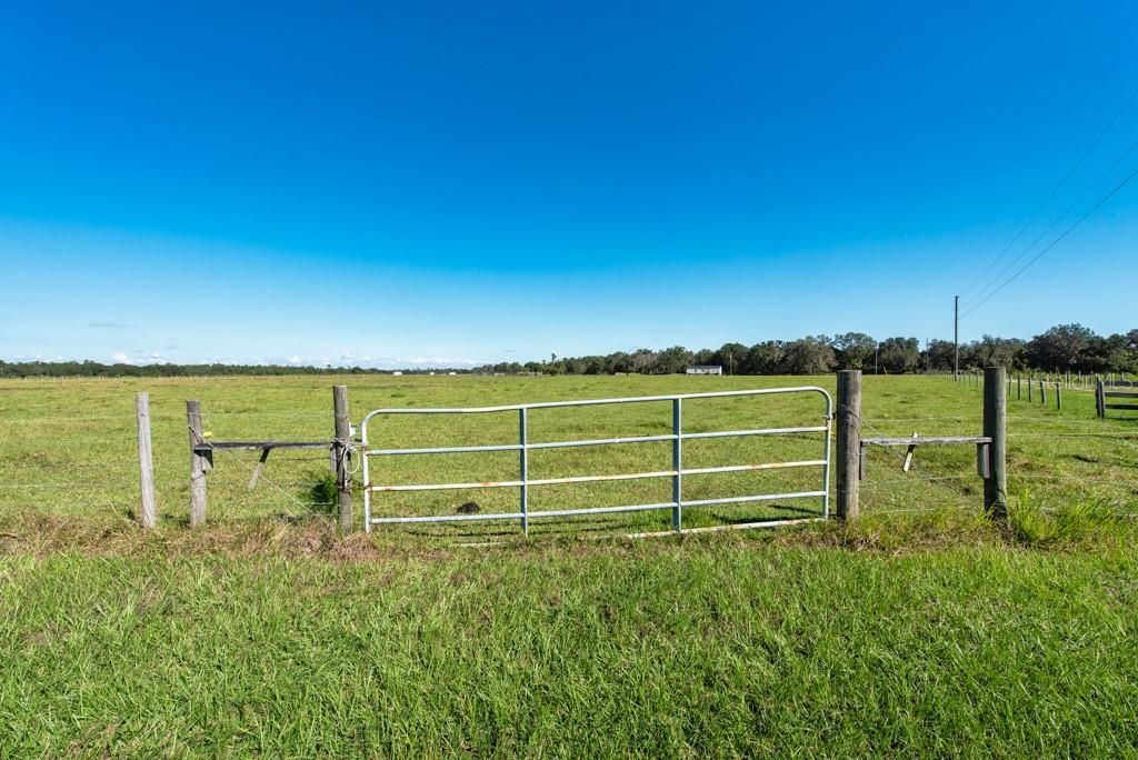 На продажу: $999,000 (43.19 acres)