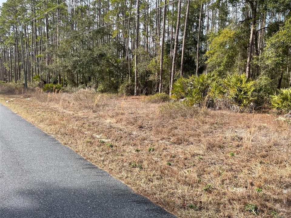 待售: $13,900 (0.24 acres)