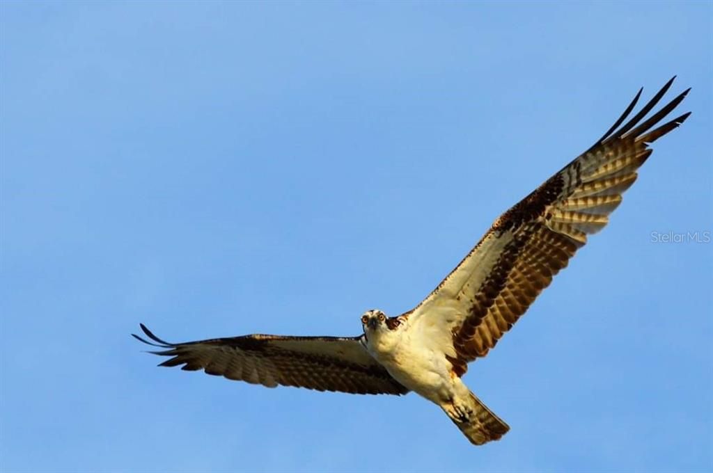 For Sale: $1,175,000 (3 beds, 2 baths, 1426 Square Feet)