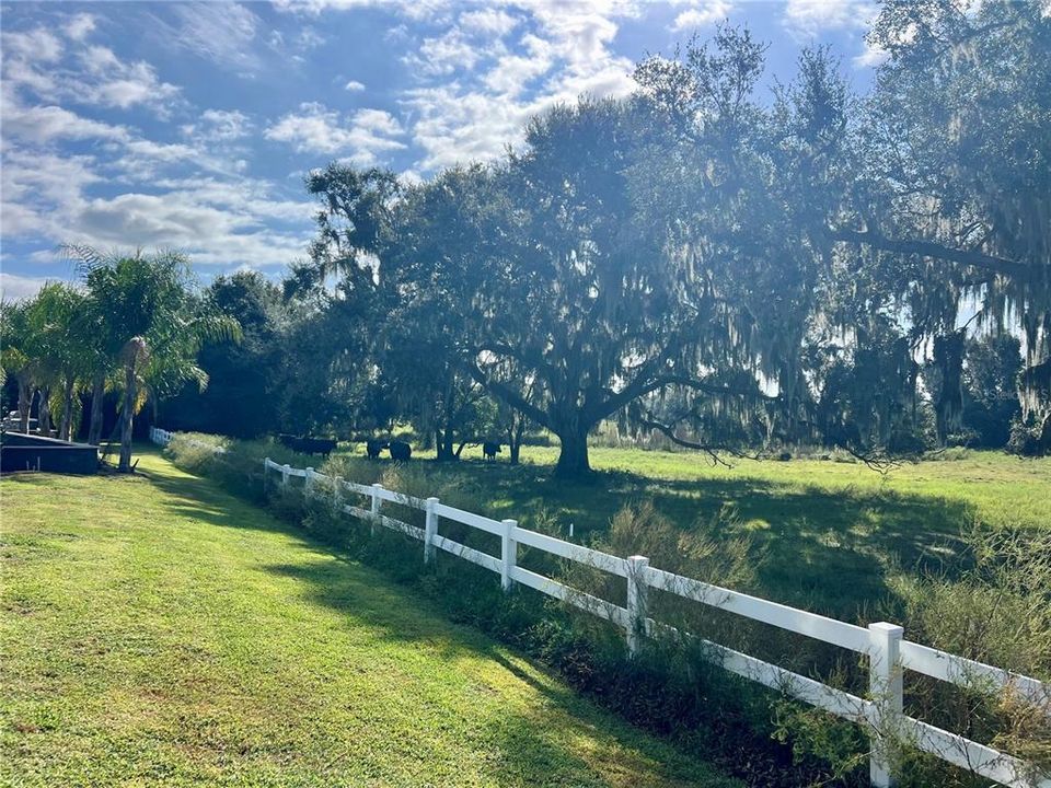 En Venta: $217,900 (0.16 acres)